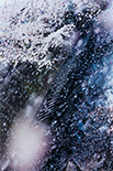 吐ԁuPLANT A TREEv2011N Cvg 48.572.8 cm ©mika ninagawa  Courtesy of Tomio Koyama GalleryiWj