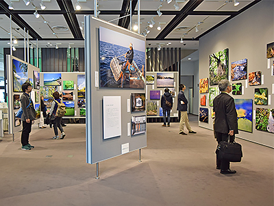 ライフスケープ「森と海―すぐそこの小宇宙」