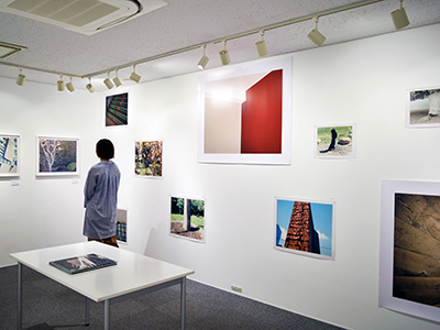 池田葉子「モンキーパズル」