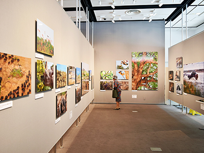 【写真家たちの新しい物語】山形豪 写真展「Go Wild!」〜南部アフリカ 動物たちの最驚楽園(サイキョーラクエン)〜