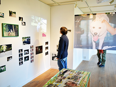 梅佳代さんちの、「あのこ」の写真展 白い犬。