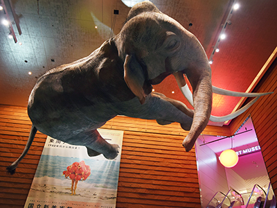 ASEAN設立50周年記念 サンシャワー:東南アジアの現代美術展 1980年代から現在まで