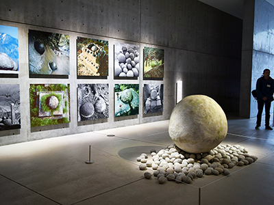 野生展:飼いならされない感覚と思考