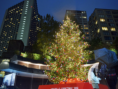 ‘EVERGREEN’ Christmas for ARK HILLS