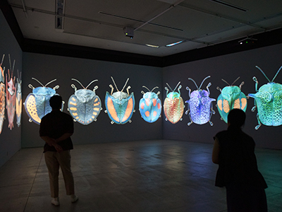 虫展 ―デザインのお手本―