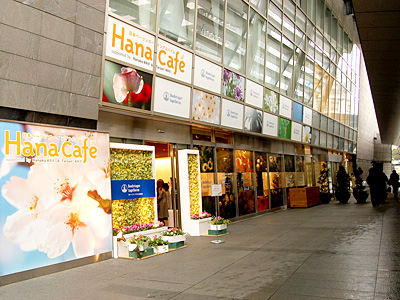 花粉症対策カフェHANA CAFE
