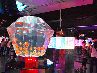 天空の水族館「スカイ アクアリウム3」