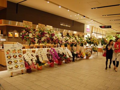 東京ミッドタウン ニューステージオープン 内覧会