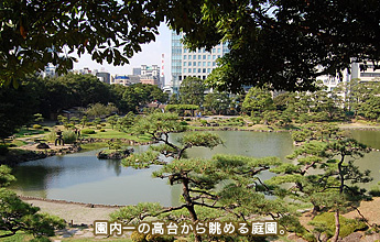 ������̍��䂩�璭�߂�뉀