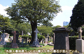 �u�O���l��n�ʂ�v�ɂ́A�l�X�Ȍ`�̕�΂�����ł���