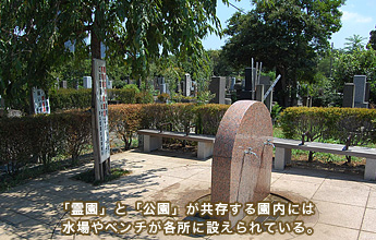 �u�쉀�v�Ɓu�����v���������鉀���ɂ͐����x���`���e���ɐ݂����Ă���