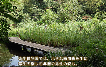 �����A�����ł́A�����ȉ�p������Ɏʐ����y���ޔN�z�̒j���̎p��