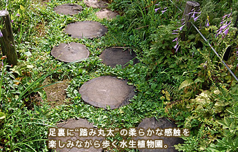 �����Ɂg���݊ۑ��h�̏_�炩�Ȋ��G���y���݂Ȃ�����������A����