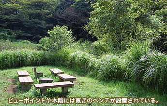 �r���[�|�C���g��؉A�ɂ͊����̃x���`���ݒu����Ă���