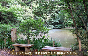 �u�Ђ傤����r�v�͖��O�̂Ƃ���Z�\�̂�����