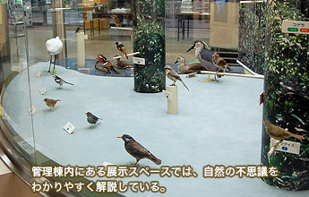 �Ǘ������ɂ���W���X�y�[�X�ł́A���R�̕s�v�c���킩��₷��������Ă���