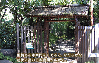 �����،˖��������ƁA�Ȃ��炩�ȋN���ɕx�ޓ��{�뉀���L����