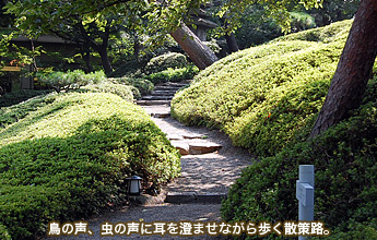 ���̐��A���̐��Ɏ��𐟂܂��Ȃ�������U���H