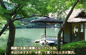 �ь�␅���̊y���ƂȂ��Ă���r�B���ӂ̂����܂�u�����v�Ŋ����ЂƂƂ����ґ�