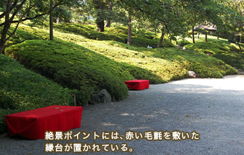 ��i�|�C���g�ɂ́A�Ԃ��џ���~�������䂪�u����Ă���