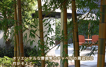 �I���G���^���ȕ��͋C�̃`���y�����ӂɂ͒|�����悮