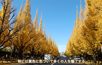 �H�ɂ͐F�Â��đ����̐l�𖣗�����