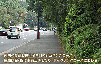 �����̕����͖�1.3�L���̃W���M���O�R�[�X�B���H�͓��E�j�͎ԗ��~�߂ƂȂ�A�T�C�N�����O�R�[�X�ɕς��