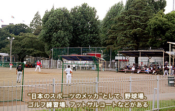 �g���{�̃X�|�[�c�̃��b�J�h�Ƃ��āA�싅��A�S���t���K��A�t�b�g�T���R�[�g�Ȃǂ�����