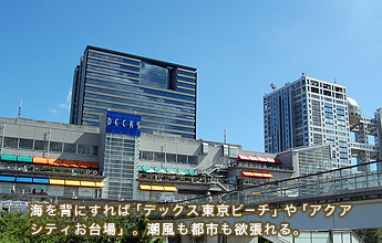 �C��w�ɂ���΁u�f�b�N�X�����r�[�`�v��u�A�N�A�V�e�B�����v�B�������s�s���~�����