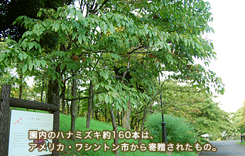 ̃ni~YL160{́AAJEVgs񑡂ꂽ