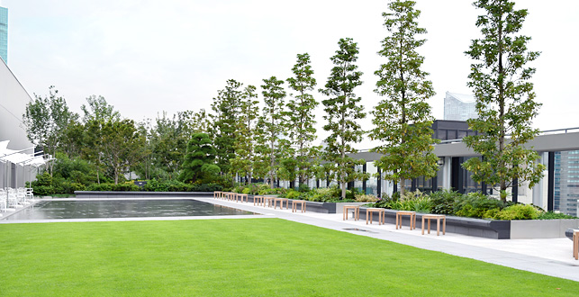 新装版 日本の庭園 全6巻セット 講談社 - メルカリ