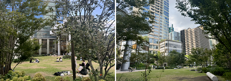 �i���j�������Ă��镔���̍L��̗l�q�A�i�E�j�{�������̍L��̗l�q