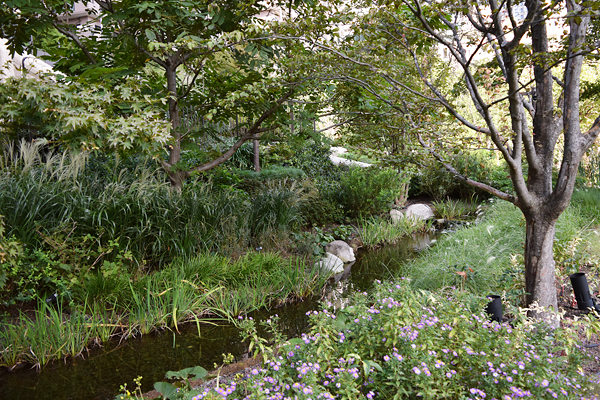 ��R���v�킹��A��