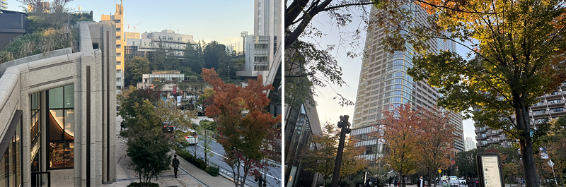 �i���j�ӏH�̃K�[�f���v���UA����̒��߁A�i�E�j�����L������t�߂̊X�H��