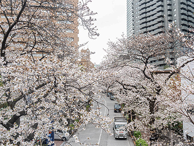 �A�[�N�q���Y ������܂� 2026