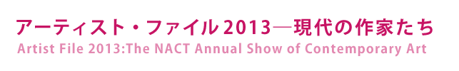 A[eBXgEt@C2013\̍Ƃ