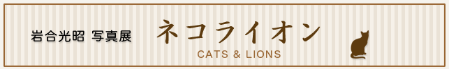 ⍇ ʐ^W@lRCI