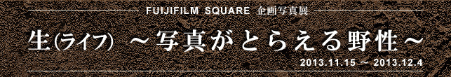 tWtC XNGAʐ^WuiCtj`ʐ^Ƃ炦쐫`v