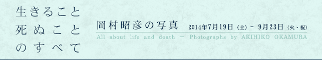 F̎ʐ^ - 邱ƎʂƂׂ̂