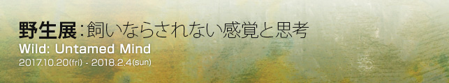 쐶WFȂ炳ȂoƎvl