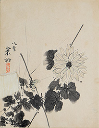 ue}v	吳SNi1915j	{nW	l	©2024 Hiroshi Niiyama