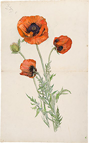 q}EAtENg s|s[t Nsځ@q}EAtENgc@By courtesy of The Hilma af Klint Foundation