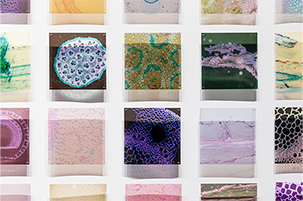 }BEN[Ns܂ˁFڂɌȂ̂鎞tij2023NAʐ^EAZe[gAƑiBBAEA_[\EM[j Installation view of Between Waves, Australian Centre for Contemporary Art, Melbourne.@Photo; courtesy Andrew Curtis © Maree Clarke