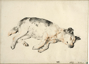 RlXEtBbZs錢tƐԂ̃`[NA̒WʁA̘gA@XEF[fpّ@©Hans Thorwid/Nationalmuseum 2009