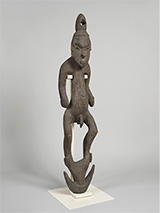 �؋�b�j���[�M�j�A�� �Z�s�b�N�͗���b20���I�������W�@�c��`�m��w���w�������w�l�Êw����������