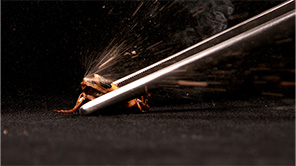 �~�C�f���S�~���V�̃K�X���� &copy;TBS