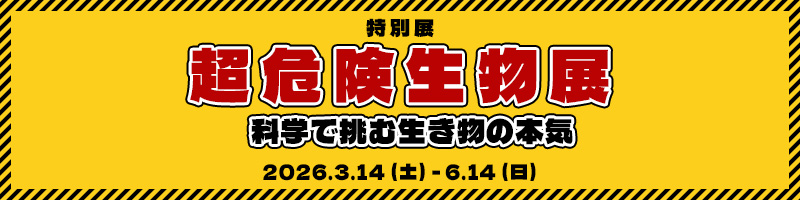 ���ʓW�u���댯�����W�@�Ȋw�Œ��ސ������̖{�C�v