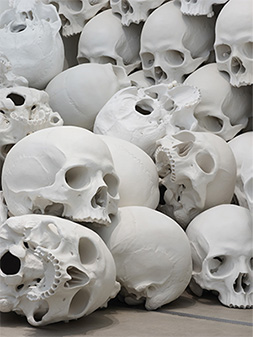 �����E�~���G�N