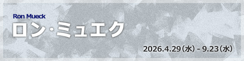 �����E�~���G�N