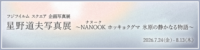 �t�W�t�C���� �X�N�G�A ���ʐ^�W�@���쓹�v�ʐ^�W �`NANOOK �z�b�L���N�O�} �X���̐Â��Ȃ镨��`